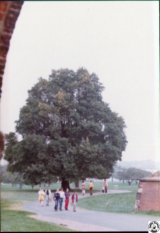 1975 10 12 04 Baltimore Oktoberfest.jpg